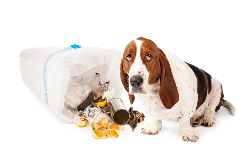 home waste